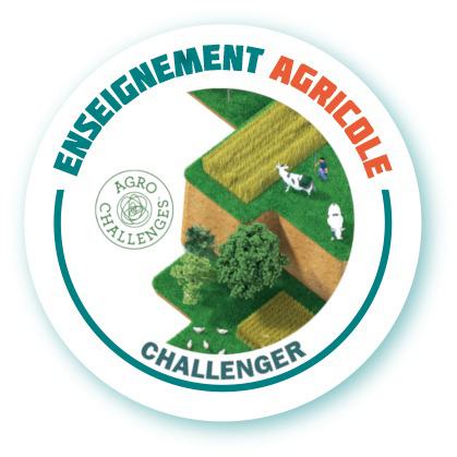 Badge_Challenger Badge_Challenger